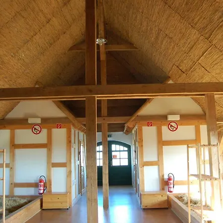 Pensjonat Heu-ferienhof Altkamp Putbus