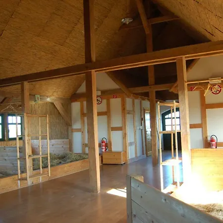 Pensjonat Heu-ferienhof Altkamp 4*