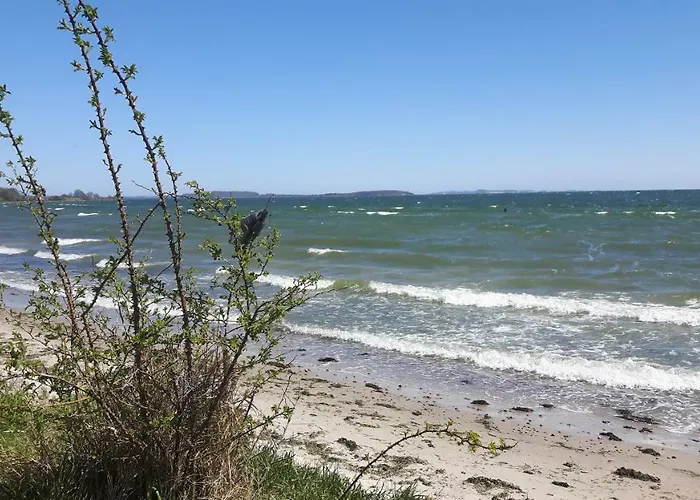 Heu-ferienhof Altkamp Πανσιόν Putbus