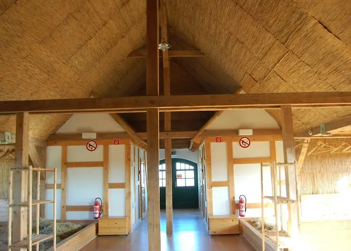 Πανσιόν Heu-ferienhof Altkamp Putbus