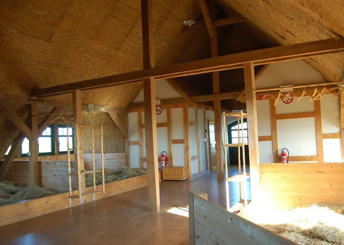 Πανσιόν Heu-ferienhof Altkamp 4*